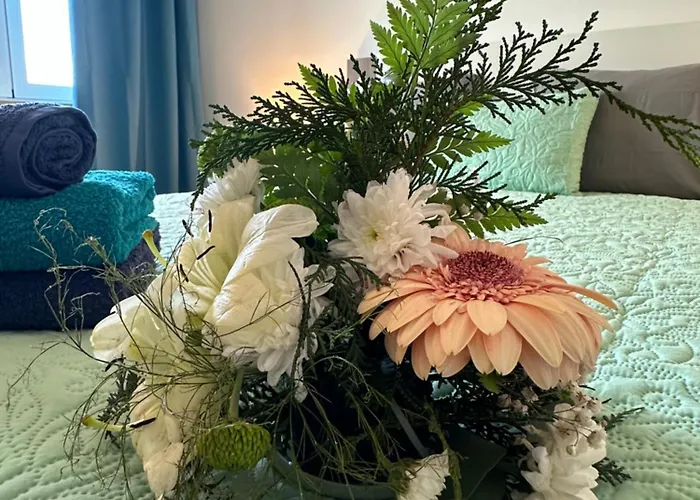 Center - For Rent Funchal (Madeira)