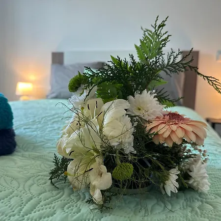 Center - For Rent アパート