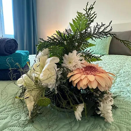 Center - For Rent フンシャル